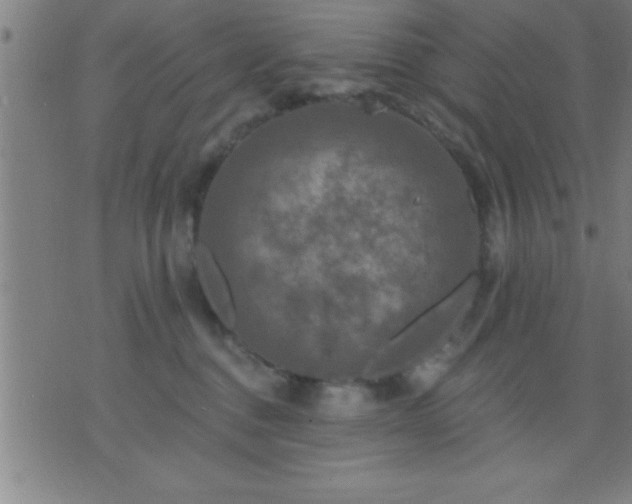 X0000075900376200609221943