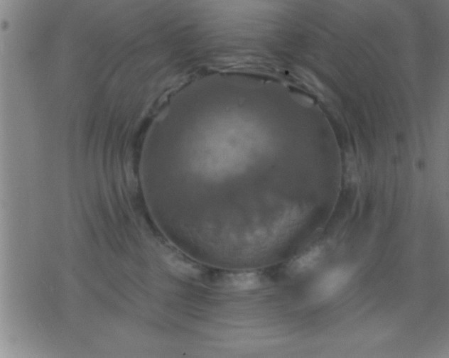 X0000075900377200609221943