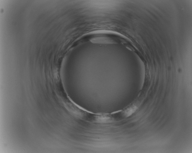 X0000075900380200609221943