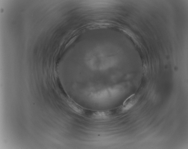 X0000075900381200609221943