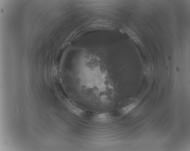 X0000075900382200609221943