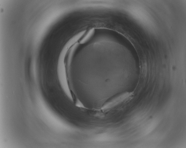 X0000075900383200609221943