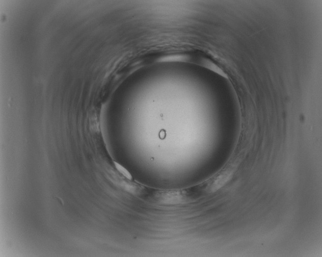 X0000075900384200609221943