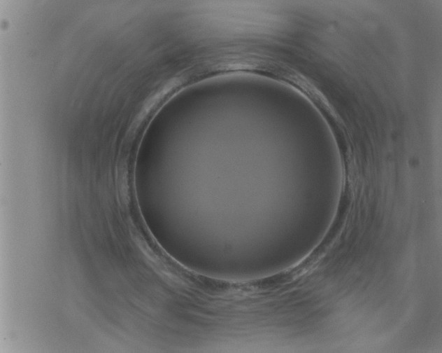 X0000075900386200609221942