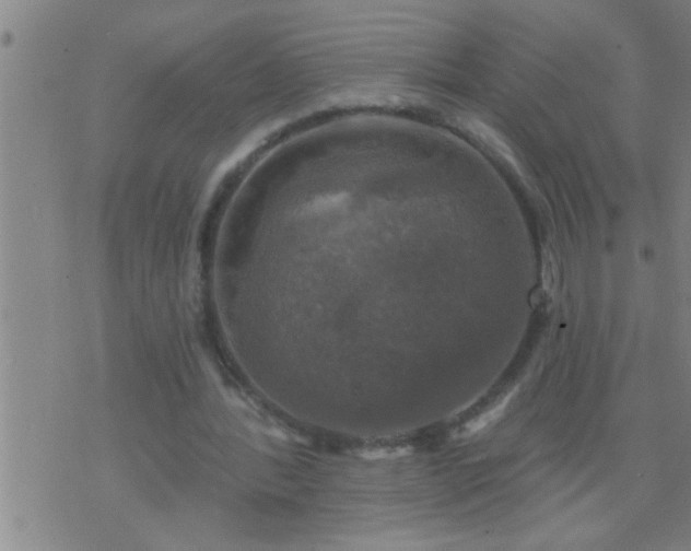 X0000075900388200609221942