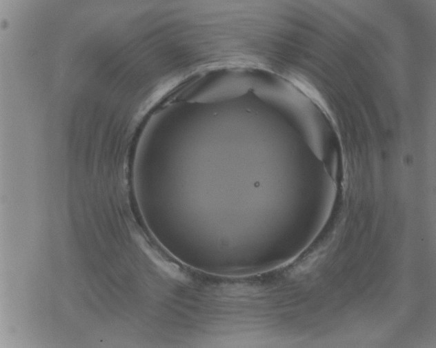 X0000075900389200609221942