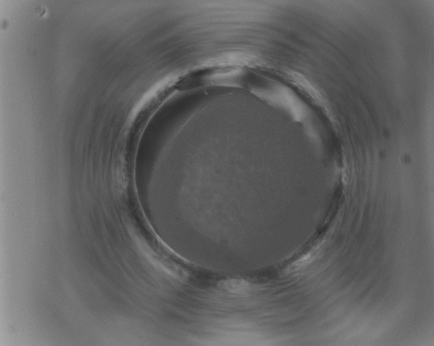 X0000075900392200609221942