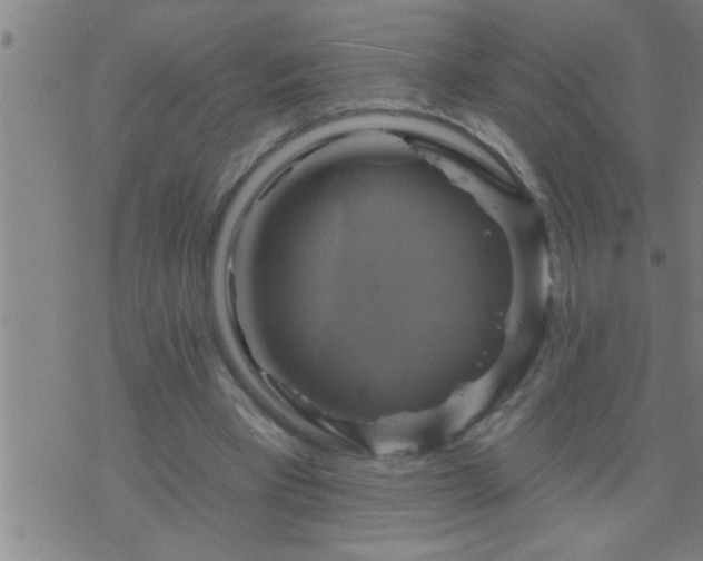 X0000075900393200609221942