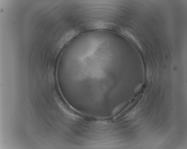 X0000075900394200609221942