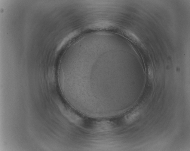 X0000075900396200609221942