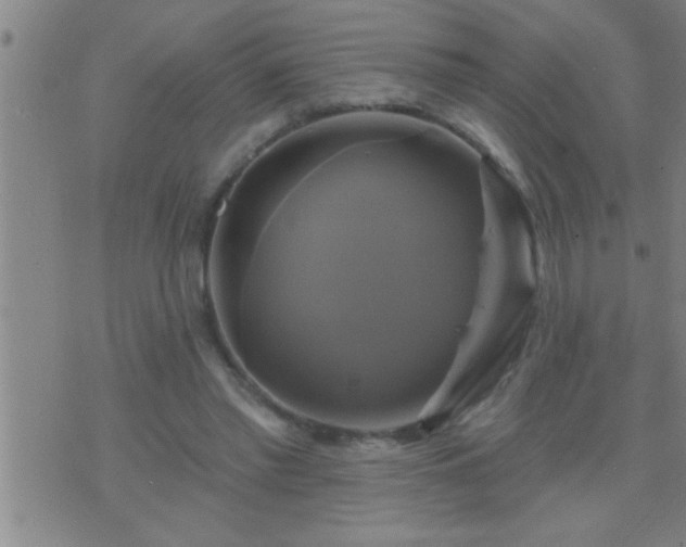 X0000075900397200609221942