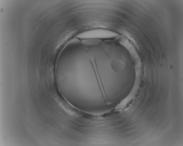 X0000075900398200609221942