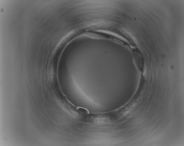 X0000075900400200609221942