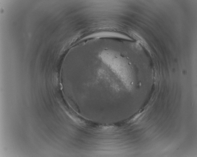 X0000075900401200609221942