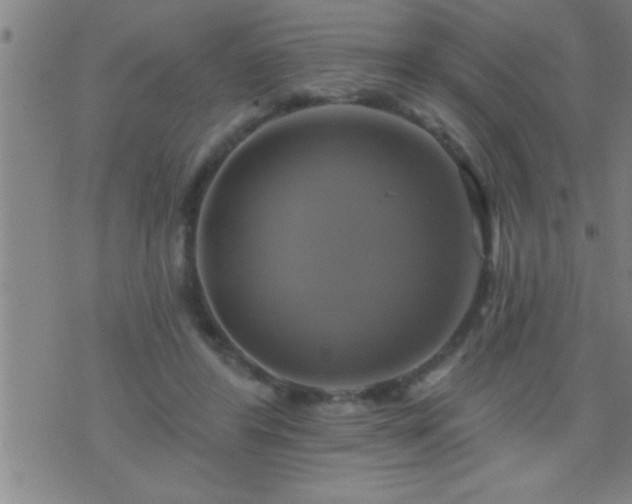 X0000075900404200609221942