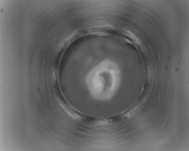 X0000075900405200609221942