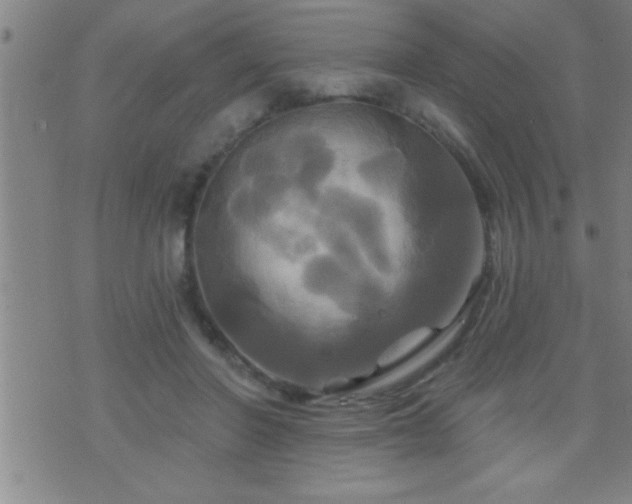 X0000075900406200609221942