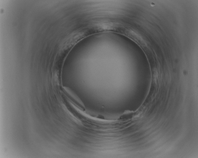 X0000075900410200609221942