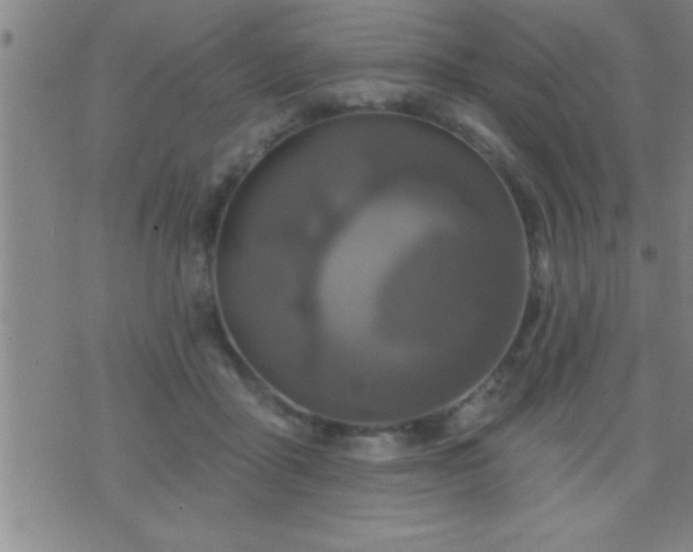 X0000075900411200609221941