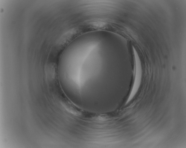 X0000075900412200609221941