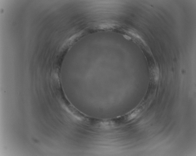 X0000075900415200609221941