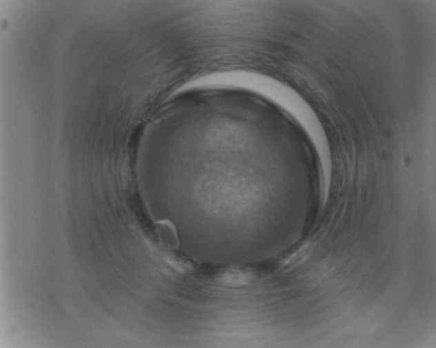 X0000075900416200609221941