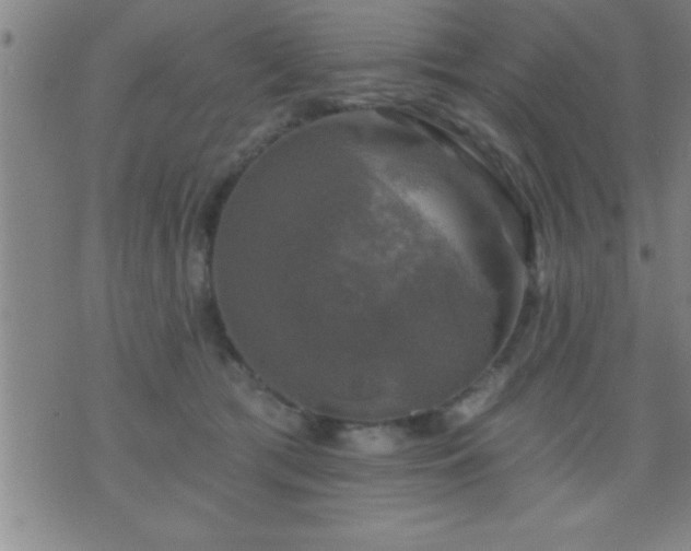 X0000075900417200609221941