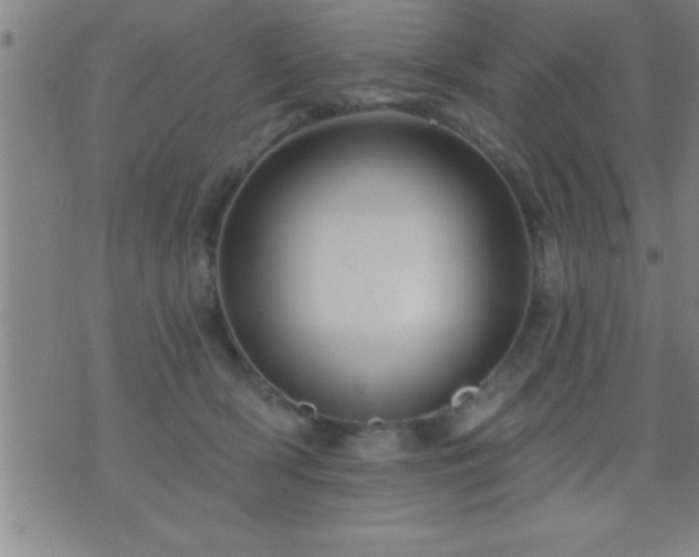 X0000075900418200609221941