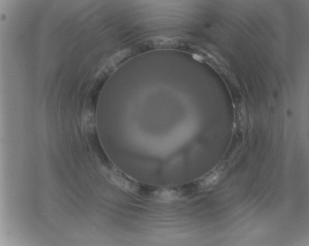 X0000075900419200609221941