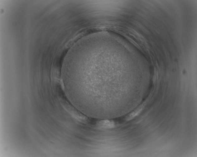 X0000075900421200609221941