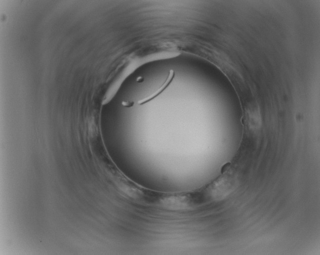 X0000075900422200609221941