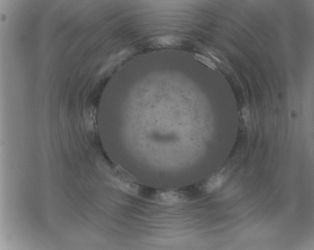 X0000075900423200609221941