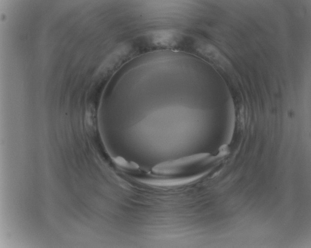 X0000075900424200609221941