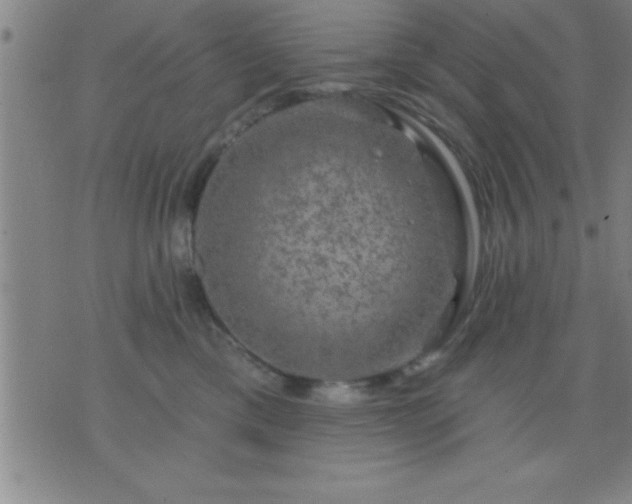 X0000075900425200609221941