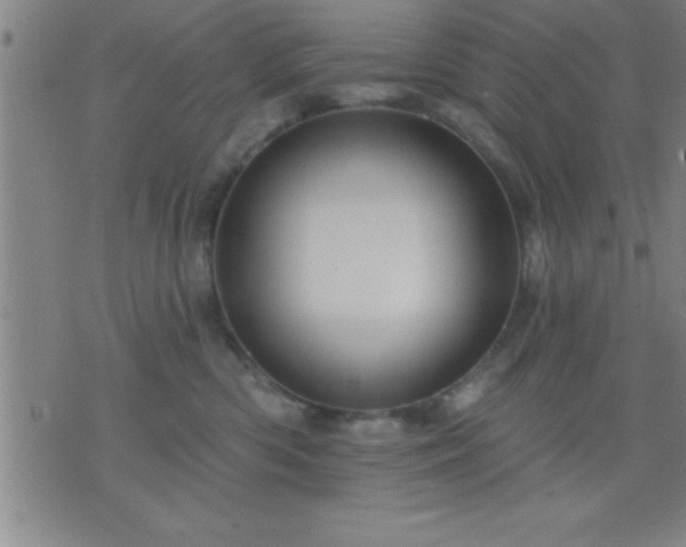 X0000075900426200609221941