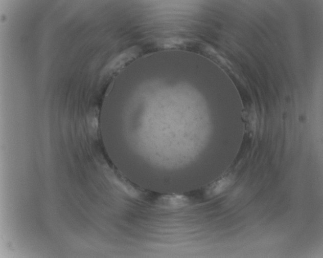 X0000075900427200609221941