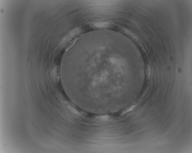 X0000075900428200609221941