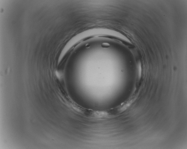 X0000075900429200609221941