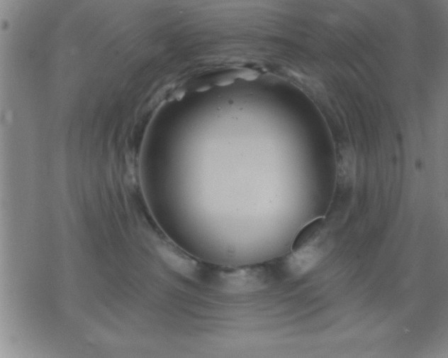 X0000075900430200609221941