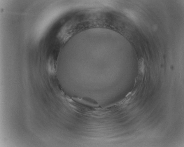 X0000075900431200609221941