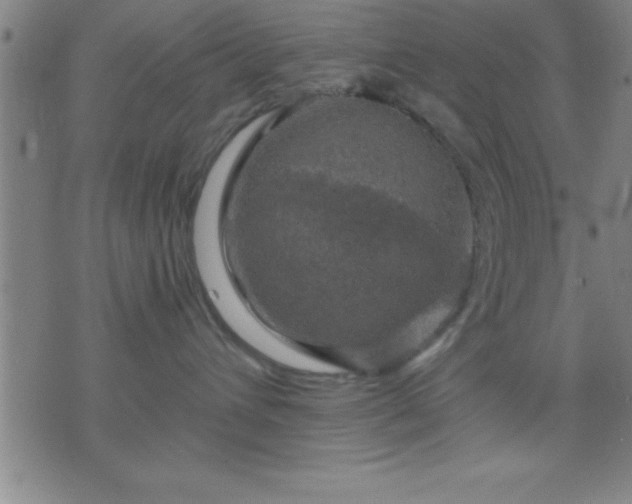 X0000075900432200609221941