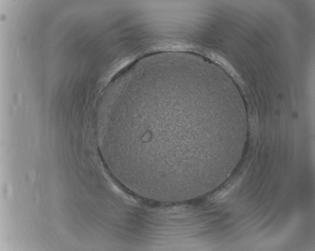 X0000075900433200609221940