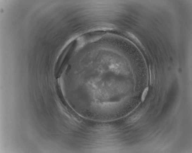 X0000075900435200609221940