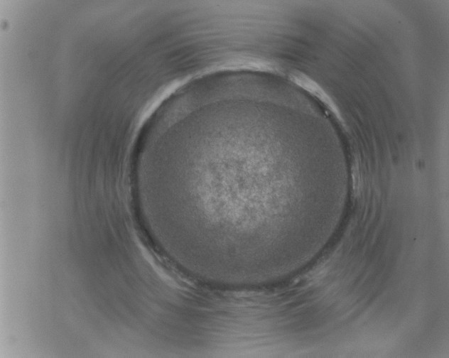 X0000075900436200609221940