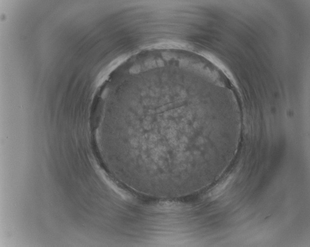 X0000075900437200609221940