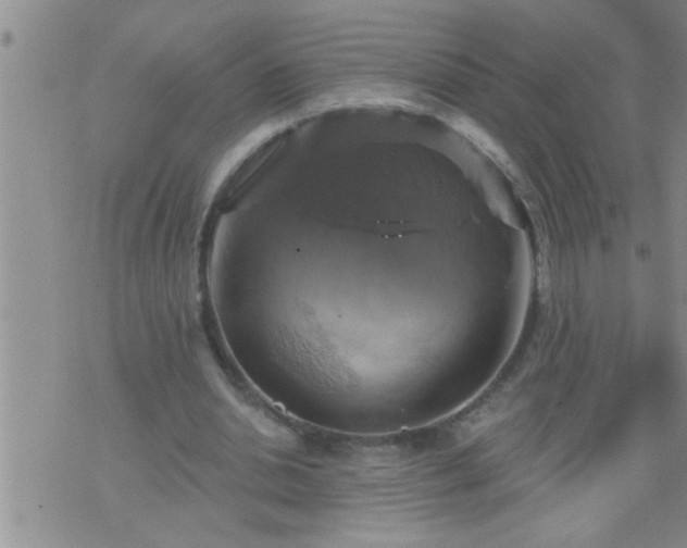 X0000075900438200609221940