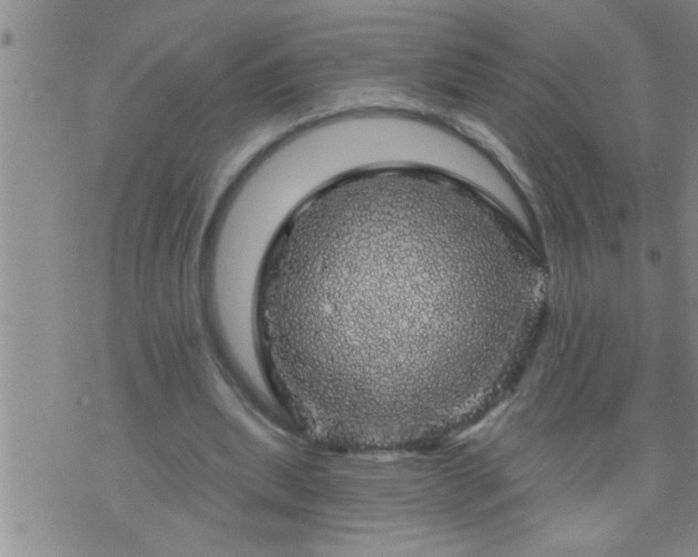 X0000075900439200609221940