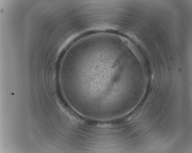 X0000075900440200609221940