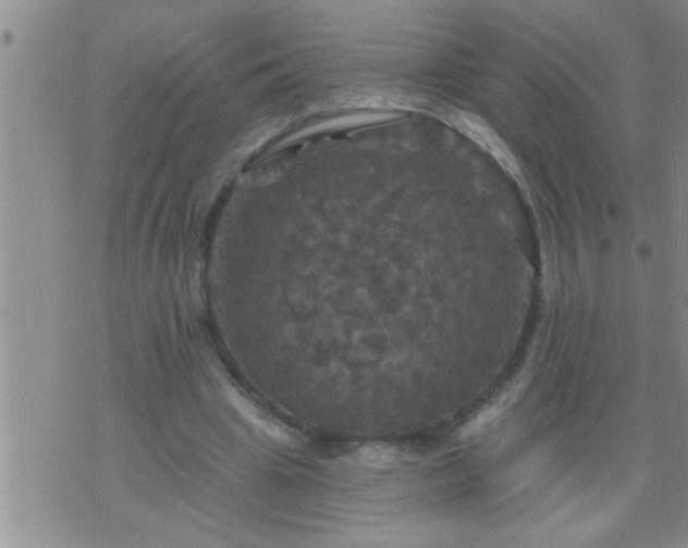 X0000075900441200609221941