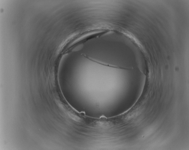 X0000075900442200609221941